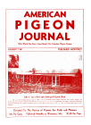 Magazine Cover
